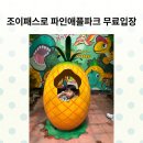 멜로디파크 | 오키나와 파인애플파크 후기, 오키나와 조이패스로 무료입장한 대가족여행기