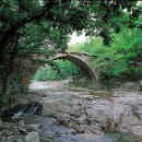 영취산 흥국사 (전남 여수)
