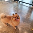 감성그루밍 이미지