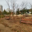 군산중앙중학교 이미지