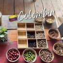 동안농장 | 남미여행 콜롬비아 살렌토 여행, 커피농장 투어 추천 Coffee Tour Luger 루거 후기
