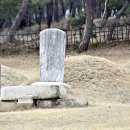 영신군 이이묘 이미지