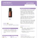 테라스마트