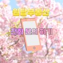 상남동294 이미지