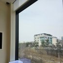 파랑새피부과의원 네이버블로그