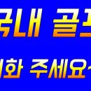 스톤게이트C.C 이미지