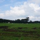 들레목장 이미지