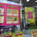한국3D바이오 | 올리브영 세일, 한교동 메디큐브 세럼, 구매후기