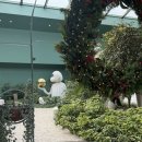 털찐친구들 이미지