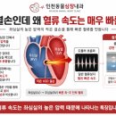 인천동물심장내과