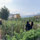 딱따구리펜션 이미지