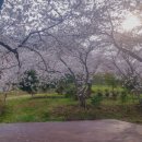 신흥동 라인댄스 이미지