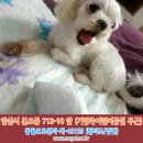 기양죽 어린이공원 이미지