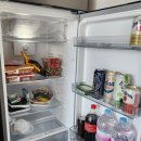 총각네애견 이미지