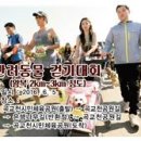 한마음 애견용품 이미지