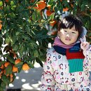 현아네 농장 이미지