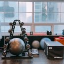 팀히트짐 이미지