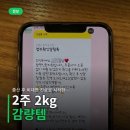 출산 후 비대면 진료로 시작한 참명인한의원 감비환 2주 후기