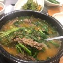 초원흑염소 이미지