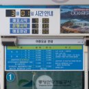 통영 케이블카[미륵산] 탑승 후기