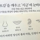 정화약손테라피 이미지