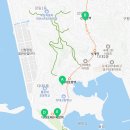 치킨신드롬다대