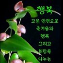 오늘도건강