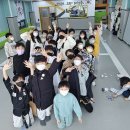 용인대백호태권도 이미지