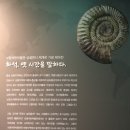 보령박물관 이미지