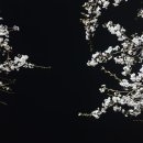 광남주유소 이미지