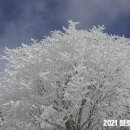 한라산국립공원 산악박물관 이미지