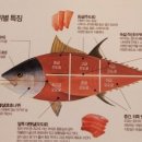 영원참치초밥