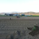 구미농장 이미지