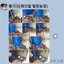 화산골 힐링 농장 네이버블로그