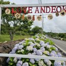 안덕면사무소 앞 이미지