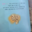 초등수학 습관 바로잡기 이미지