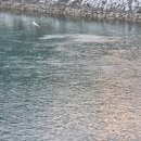 블레스밀 이미지