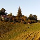 석양목장 이미지