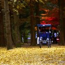 무지개농장 이미지