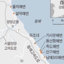 양양애서