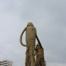 금산토지홍삼