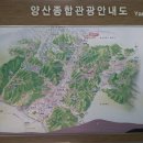 [100대 명산 등반기(7) - 신불산] 광활하게 펼쳐진 억새평원과 온 몸을 감싸는 시원한 바람, 영남알프스 신불산! (2013.5.11.토.~12.일. 3명) 이미지