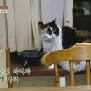 다정한 민박 이미지