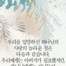 입양 이미지