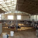 한성목장 이미지