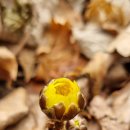 광나루역 이미지