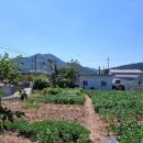 우산리마을회관 네이버블로그
