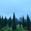 장충농장 이미지