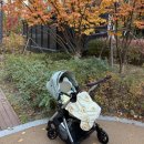 [절충형 유모차] 실버크로스 듄 내돈내산 사용 후기 - 세이지 그린