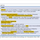 봄앤동물병원 이미지
